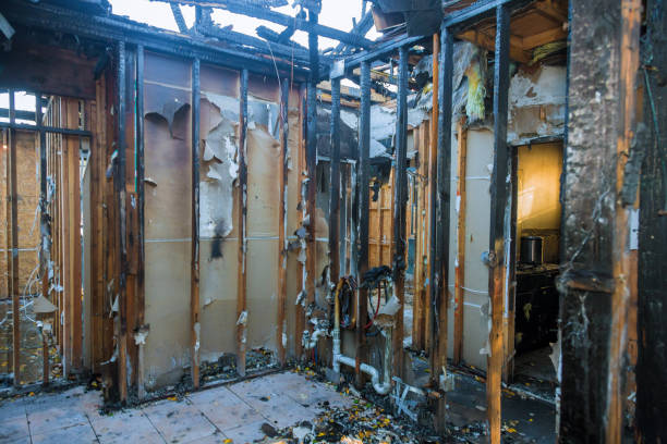 Professional Structural Rebuild technician working in Forest Hill, TX